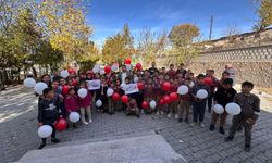 AK Partili gençlerden "81 Hayal, Bir Türkiye" etkinliği