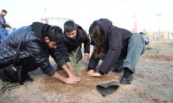 Genç turizmciler fidanları toprakla buluşturdu