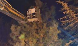 Derinkuyu’da mahsur kalan kedi kurtarıldı