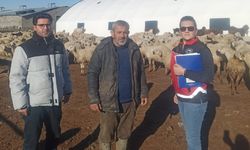 Nevşehir’de küçükbaş hayvancılığa büyük destek
