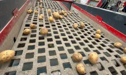 250 bin ton patates Nevşehir’de sertifikalandırılıyor