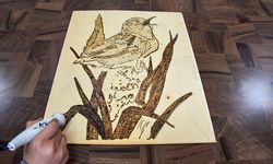 Nar’da kadınlara el sanatları desteği