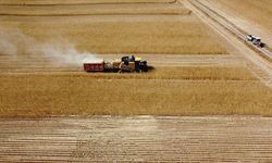 Çiftçiye 2 milyar liralık destek ödemesi