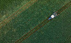 Çiftçilere yeni yıl öncesi büyük destek