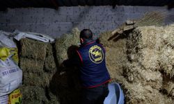 Rüşvet ve tarihi eser suçlarına jandarma darbesi: 4 gözaltı