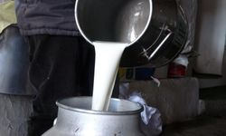 Çiğ sütün 2026 fiyatı belli oldu
