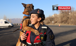 Nevşehir JAKEM’de görev köpekleri sahaya hazırlanıyor