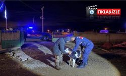 Nevşehir’de büyükbaş hırsızlığı: 5 tutuklama