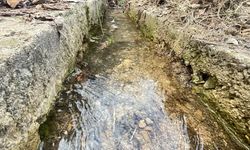 Avanos’ta sevindiren gelişme: Kaynak suyu yeniden akmaya başladı