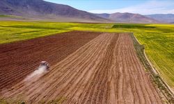 Tarım destekleri belli oldu: Nevşehir’de çiftçi ne kadar alacak?