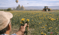 Nevşehir’de aspir üreticisine müjde: İşte destekler