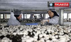 Nevşehir’de genç girişimciden 35 kadına istihdam desteği