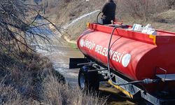 Ürgüp’te yaz öncesi büyük ilaçlama