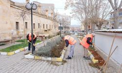 Parklar, yollar, yeşil alanlar… Gülşehir’de büyük çalışma