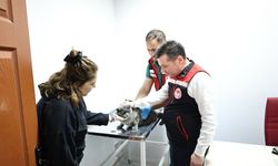 Nevşehir’de evcil hayvanlara mikroçip ve kuduz aşısı yapılıyor