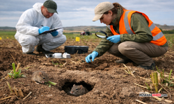 Nevşehir’de tarla faresi incelemesinde sonuçlar belli oldu