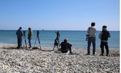 Dış Basın Birliği’nden Güney Kıbrıs’a basın özgürlüğü tepkisi