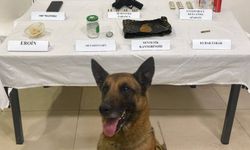 Nevşehir'de jandarma operasyonunda çok sayıda uyarıcı madde ele geçirildi