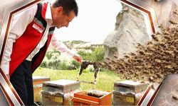 Nevşehir’de arıcılara destek başvuruları devam ediyor