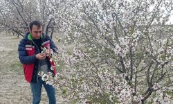 Zirai don tehdidi devam ediyor: Üreticilere önemli uyarılar