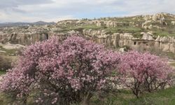 UNESCO Mirası Kapadokya’da bahar büyüsü başladı