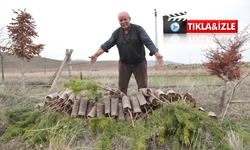 “Bir evladım gibi bakıyorum” dedi, 12 yılda 12 bin fidan dikti