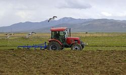 Nevşehir’de çiftçilere 1,18 milyar TL’lik destek ödemesi yapılacak