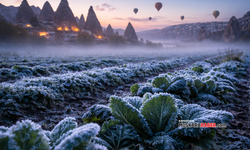 Meteoroloji uyardı: Nevşehir’de zirai don