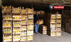 Kapadokya mağaralarında olgunlaşan “Yatak Limon” dünya pazarına açılıyor