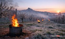 Nevşehir’de zirai don alarmı: 4 günlük süreçte ürünler korundu