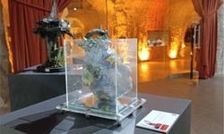 İnsan ve doğa ilişkisini anlatan eser sergide büyük ilgi gördü