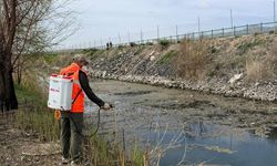 Gülşehir’de sivrisinekle mücadele: Ekiplerden erken önlem