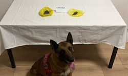 Şüpheliyi tavırları ele verdi: Aracında uy*şturucu yakalandı