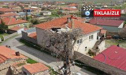 Nevşehir’de 7 yıllık leylek hikâyesi: “Garip” ve “Gurbet” köyün maskotu oldu