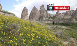 Kapadokya baharda bir başka güzel: Vadiler renk cümbüşüne döndü