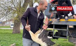 Köylüler ve ekipler el ele verdi: Mahsur kalan leylek kurtarıldı