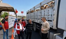 Kurbanlık taşıyanlar dikkat: Nevşehir’de denetimler sıklaştı