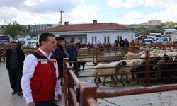 Nevşehir Hayvan Pazarı’nda bayram mesaisi: Kurbanlıklar denetlendi