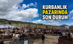 Kurbanlık pazarında yoğunluk arttı, denetimler sıklaştı
