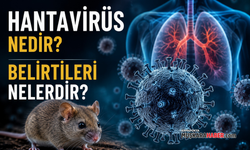 Hantavirüs nedir? Belirtileri nelerdir?