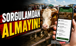 Kurbanlık alacaklara kritik uyarı: Önce uygulamadan sorgulayın
