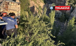 Babasından kaçan zihinsel engelli şahıs deredeki ağaçta asılı kaldı