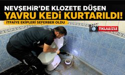 Minik kedinin yardım çığlığı ekipleri harekete geçirdi