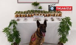 Nevşehir’de jandarmadan 5 ayrı adrese narkotik baskını