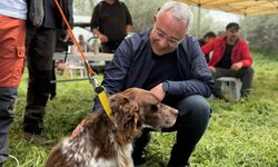 Açıksaray Vadisi’nde rekabet zirveye çıktı: Av köpeği ırk yarışması düzenlendi