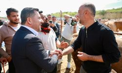 Başkan Arı kurban pazarında vatandaşların pazarlığına ortak oldu