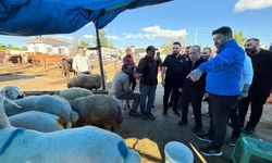 AK Parti Nevşehir’den yaşlılara ve esnafa bayram ziyareti