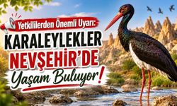 Nevşehir'de doğanın sessiz misafiri karaleylek için koruma uyarısı