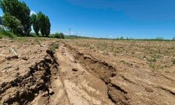 Ürgüp'te çiftçiler için çifte tehlike! Yollar bozuldu, risk arttı