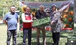 Nevşehir’de karnabahar ve brokoli fidesi dağıtımı yapıldı